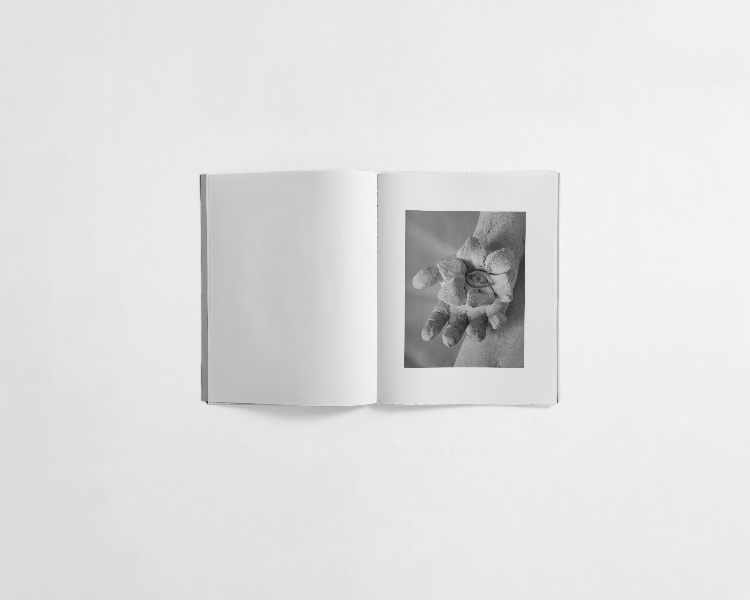 art book with sculpture of a flower emerging from a hand by Gabrielle Carrère
