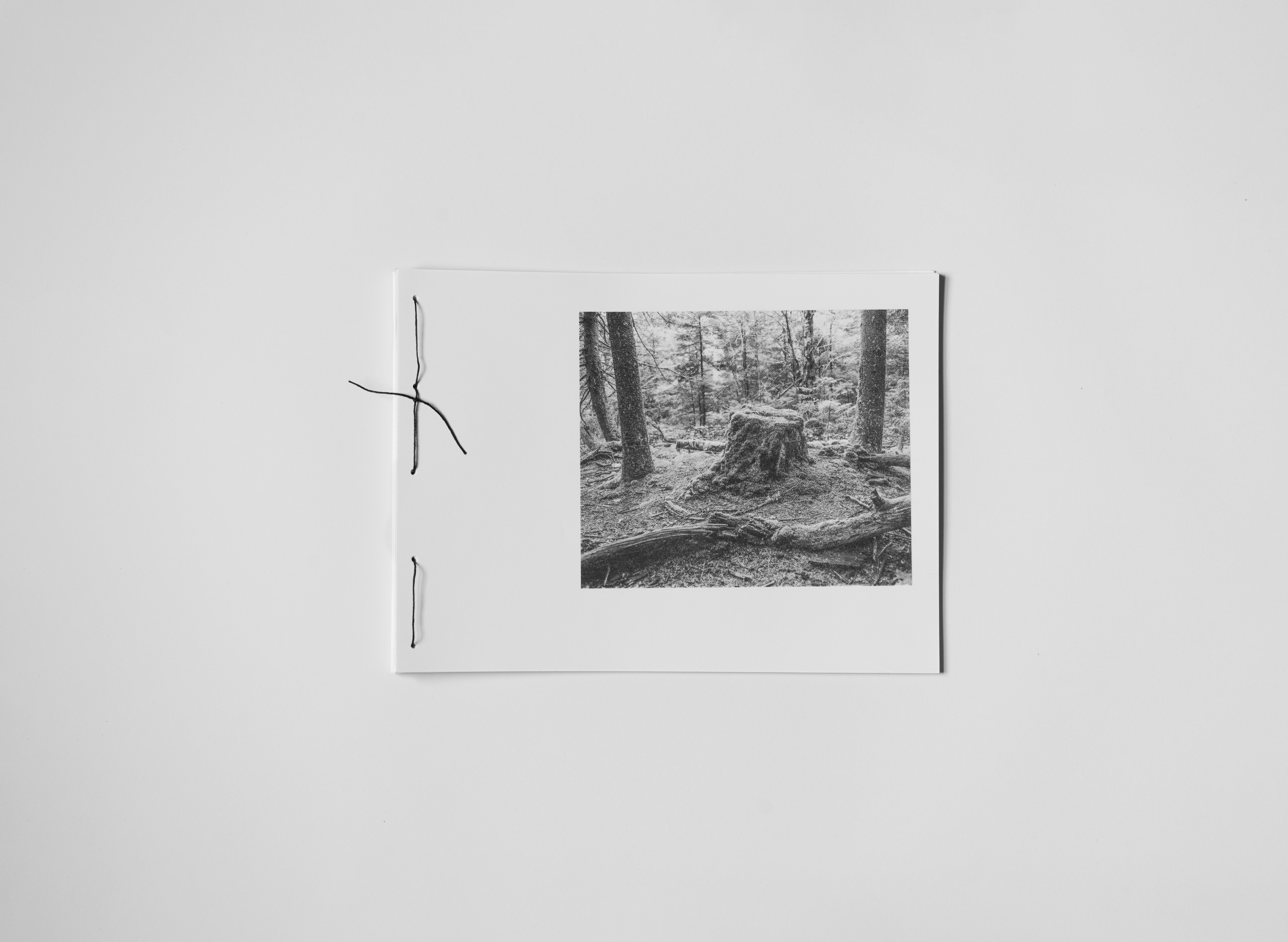 Art book with mysterious face