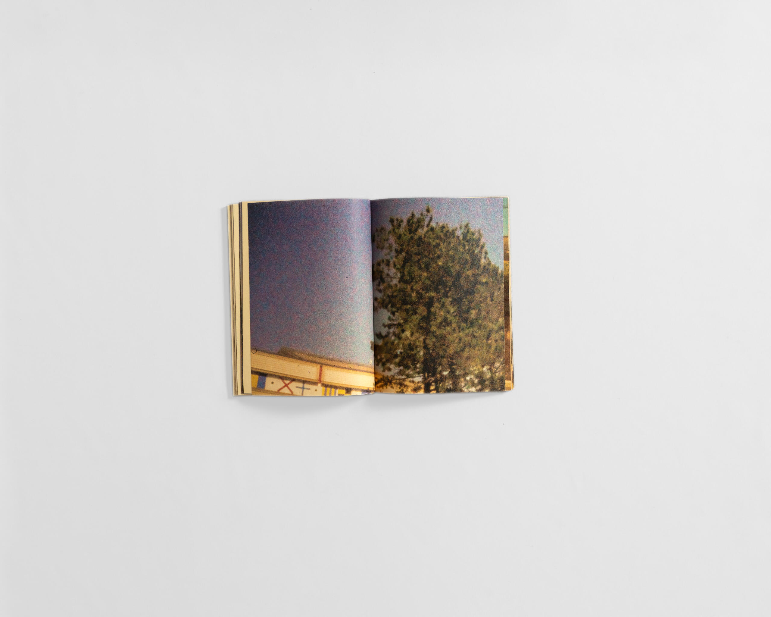 art book with fuzzy colourful image of tree