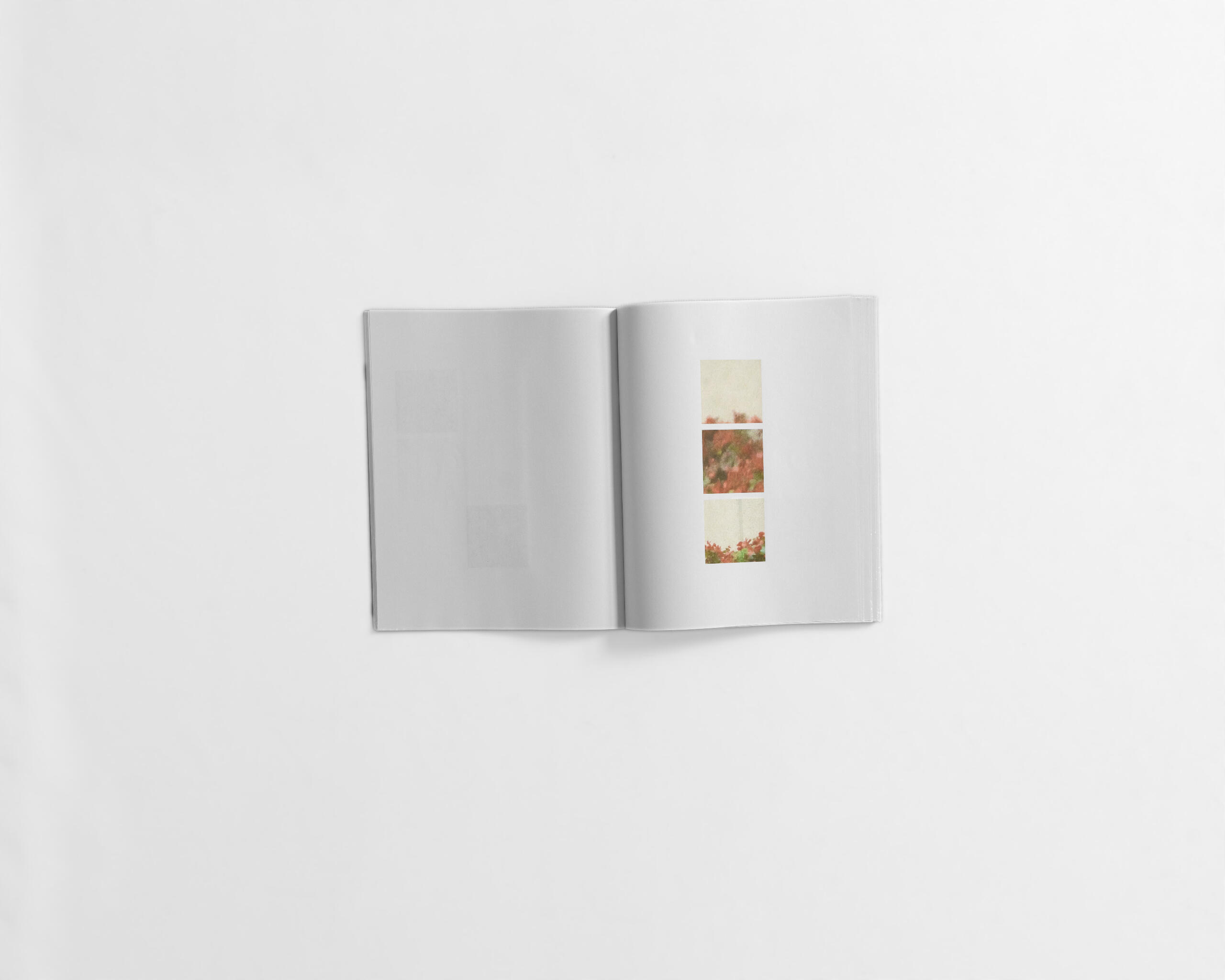 art book with abstract images of flowers