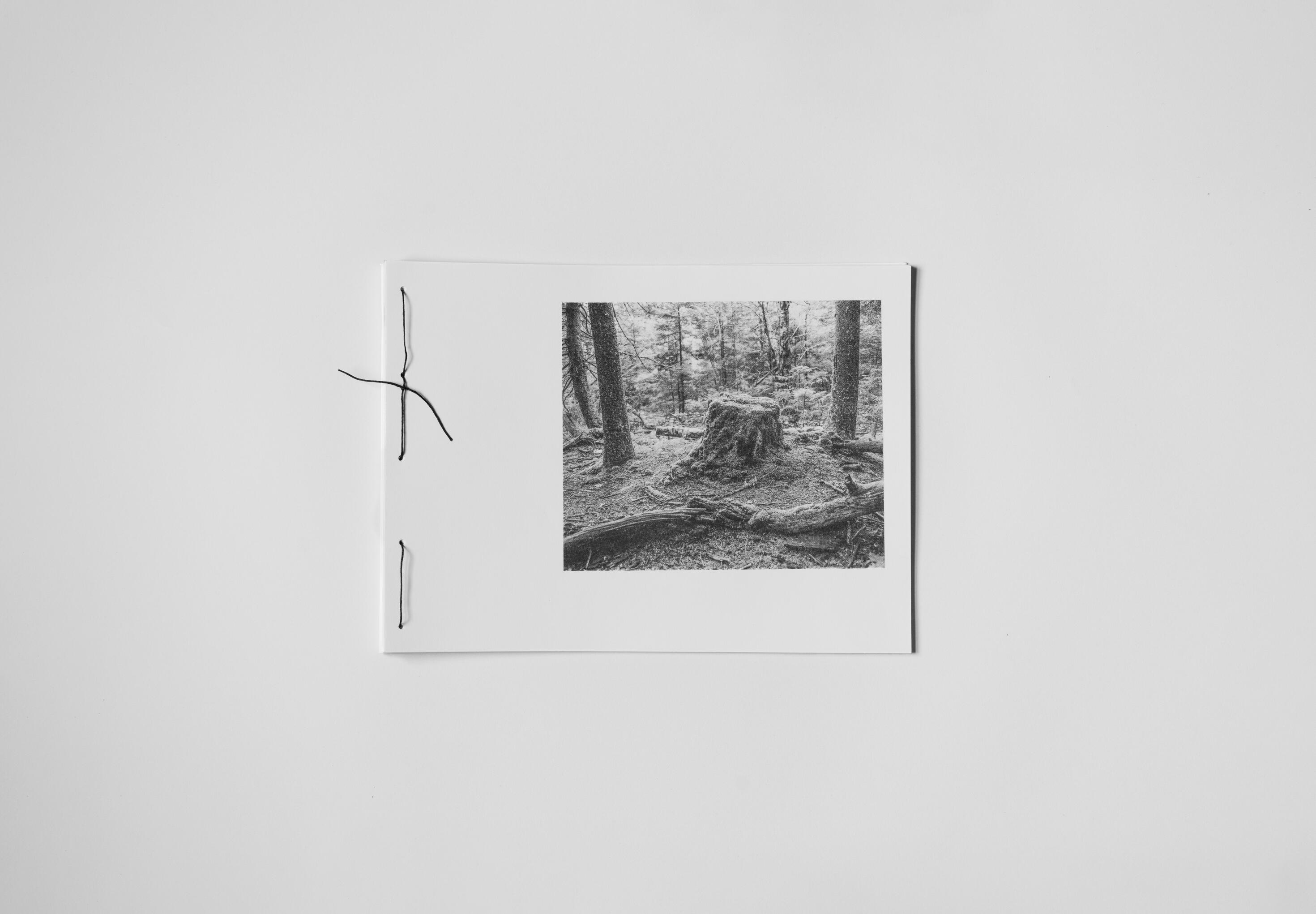 art book with abstract black and white image of a face