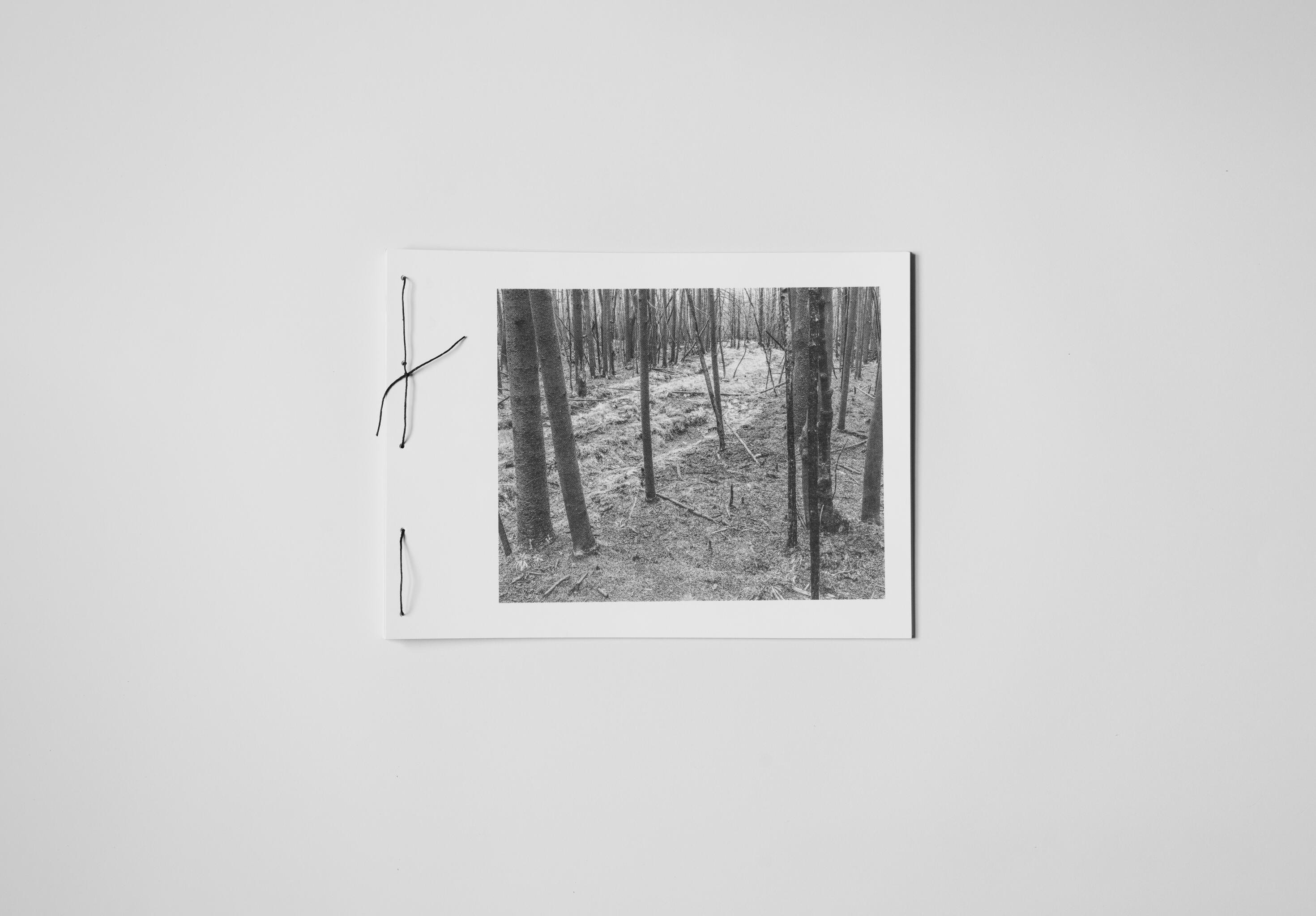 art book with abstract black and white image of a close up face